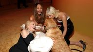 Patricia Clarkson, Chrissy Teigen, Scout and Selma Blair attend the 2025 Vanity Fair Oscar Party (Source: Getty images)